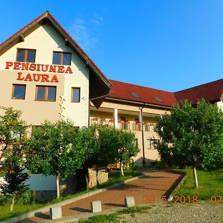 Pension Laura Cheile Turzii Petreştii de Jos Exterior foto