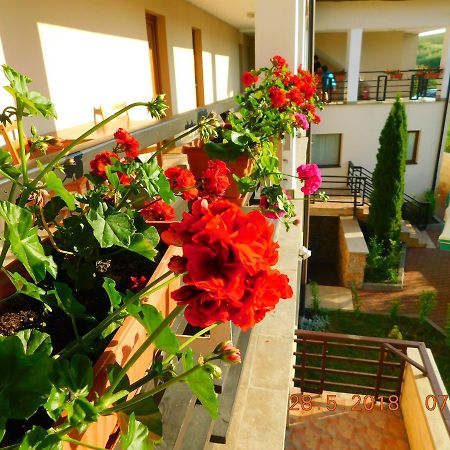 Pension Laura Cheile Turzii Petreştii de Jos Exterior foto