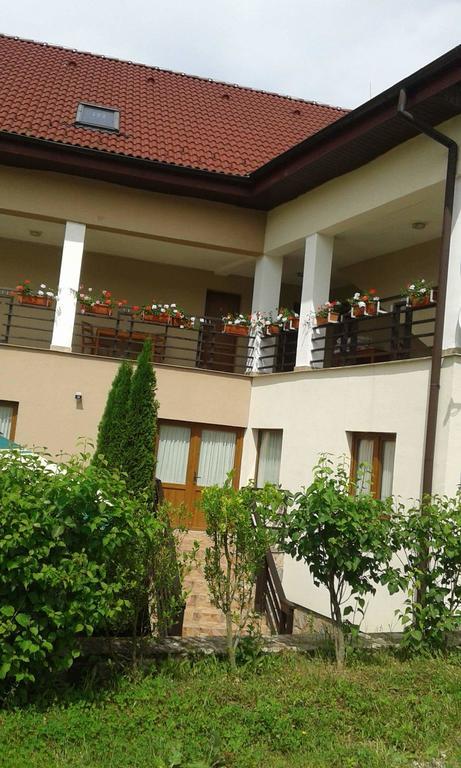 Pension Laura Cheile Turzii Petreştii de Jos Exterior foto