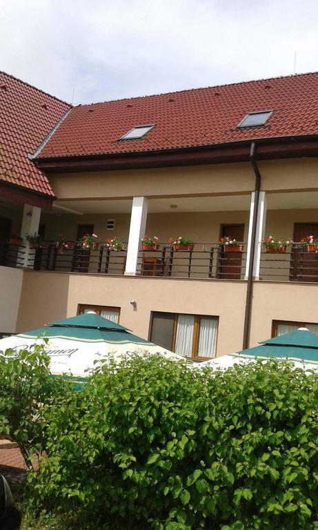 Pension Laura Cheile Turzii Petreştii de Jos Exterior foto
