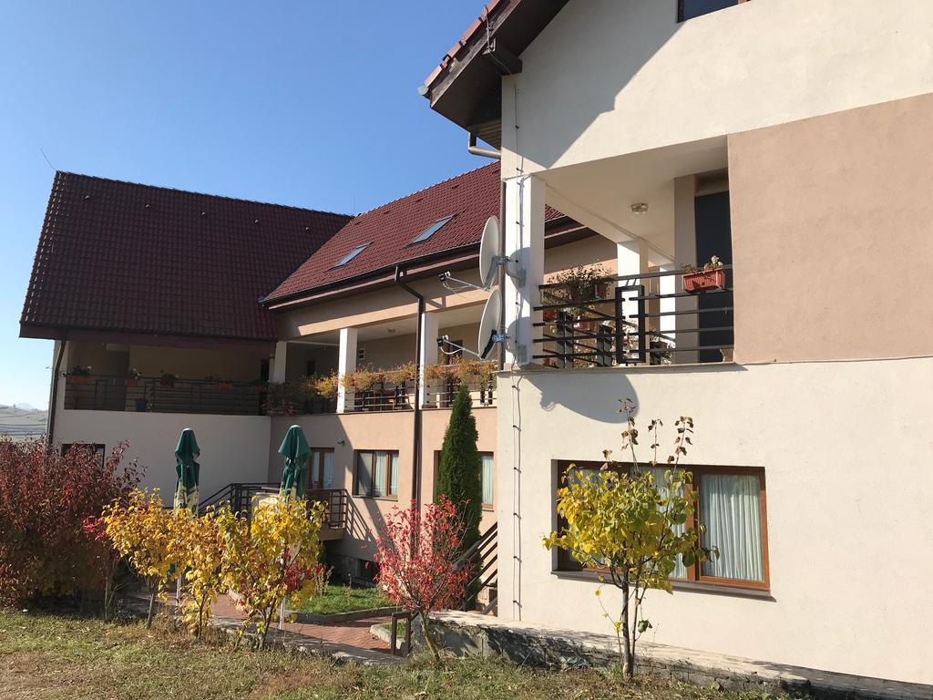 Pension Laura Cheile Turzii Petreştii de Jos Exterior foto