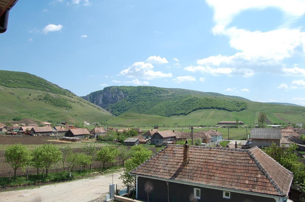 Pension Laura Cheile Turzii Petreştii de Jos Exterior foto
