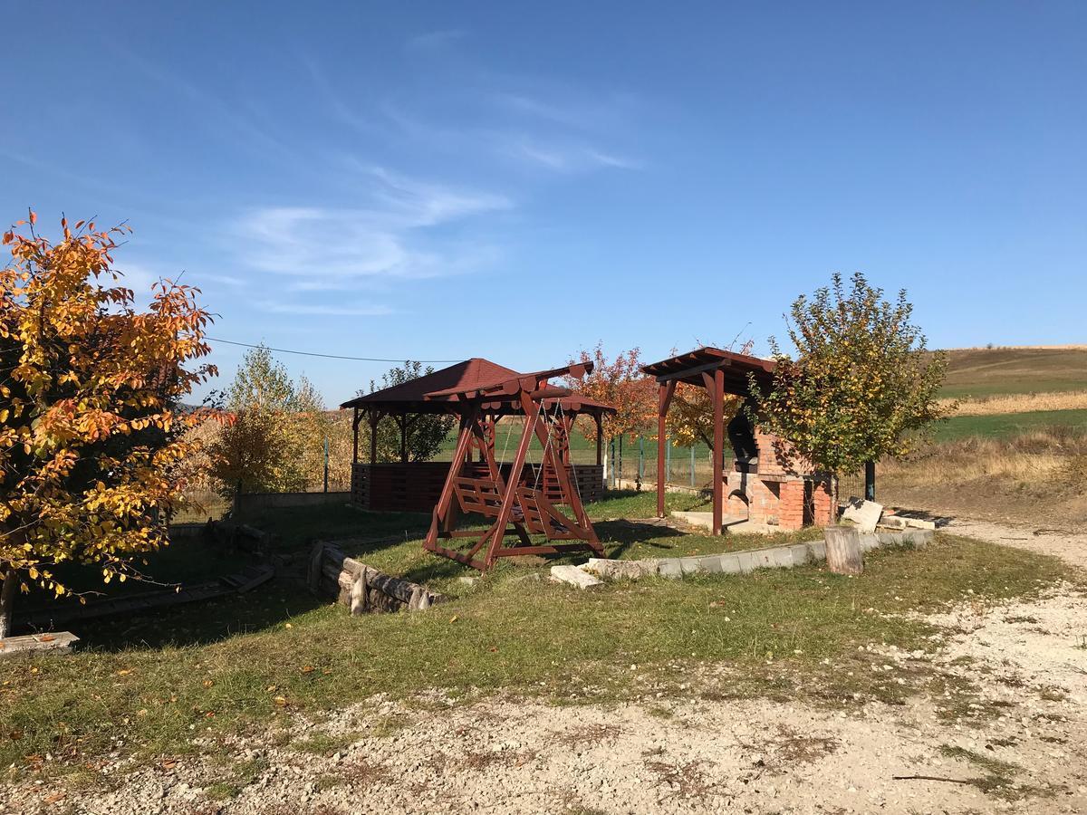Pension Laura Cheile Turzii Petreştii de Jos Exterior foto