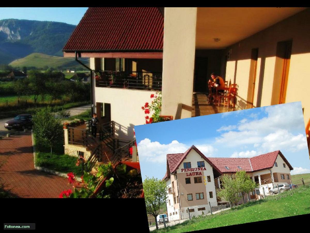 Pension Laura Cheile Turzii Petreştii de Jos Exterior foto