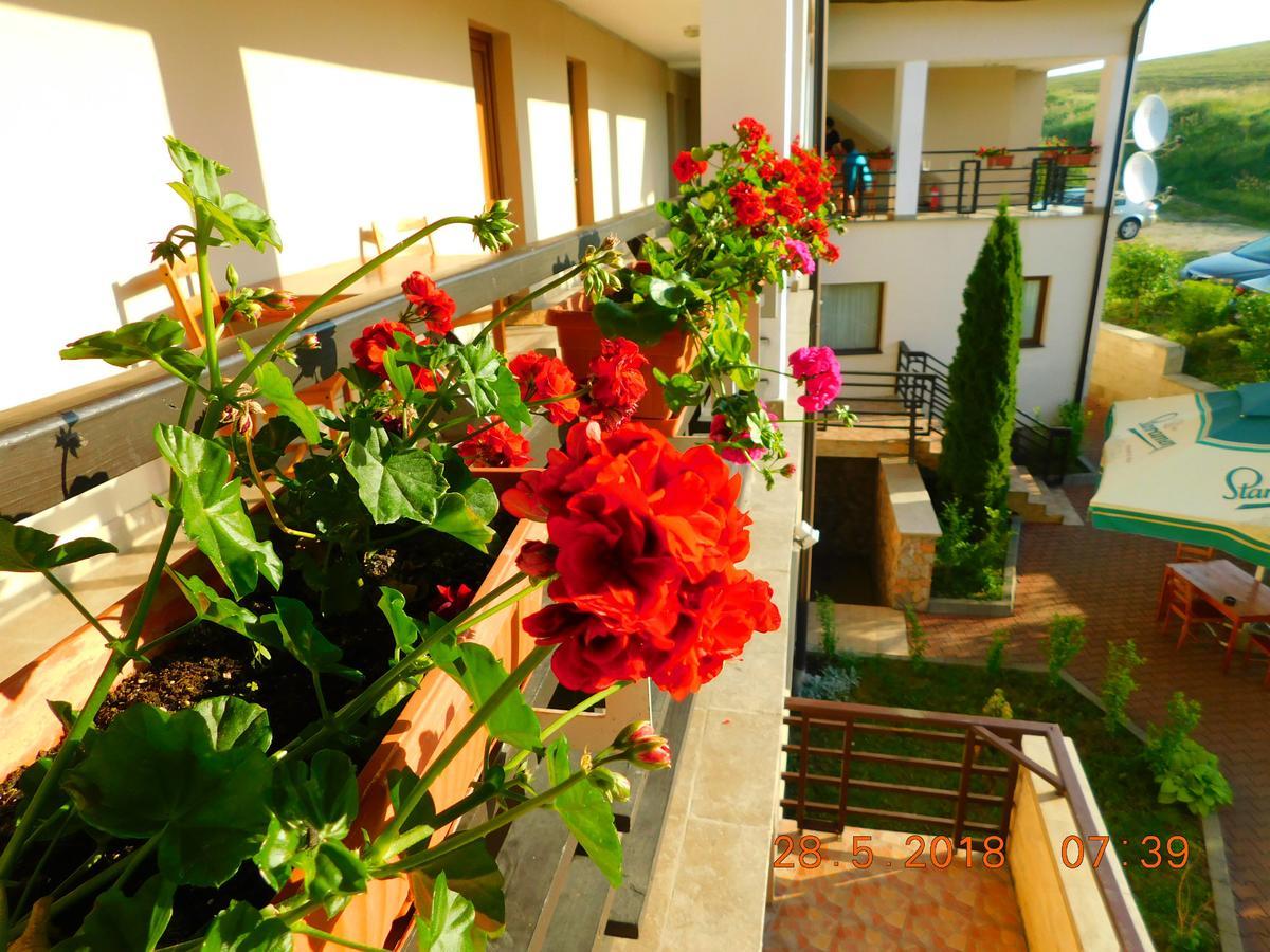 Pension Laura Cheile Turzii Petreştii de Jos Exterior foto